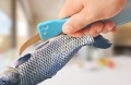 Multi-function knife fish scales scraper   MB-8201