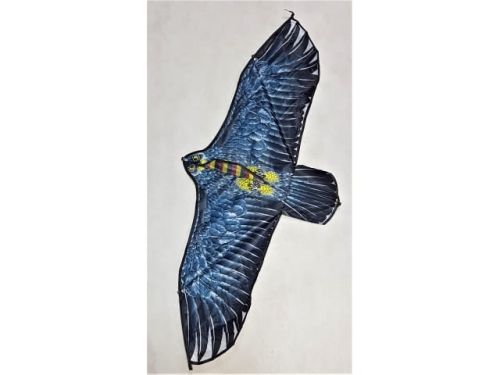 Kite ; Eagle - 126*56Cms; mix color   (ECG550)