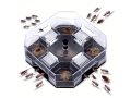 Cockroach Trap (EHO209)