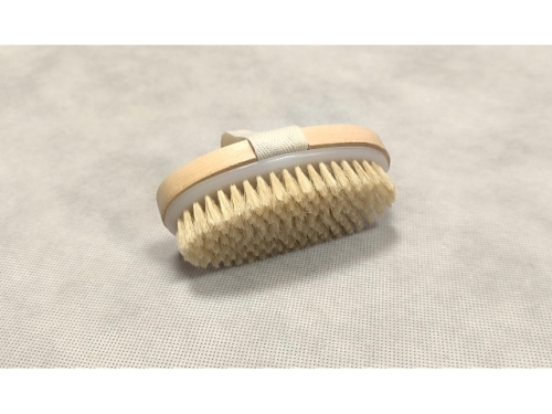 Dry body massage brush (EHW110)