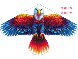 Eagle shaped Kite - 115*65Cms  (ECG551)