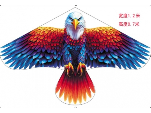 Eagle shaped Kite - 115*65Cms  (ECG551)