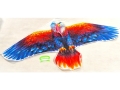 Eagle shaped Kite - 115*65Cms  (ECG551)