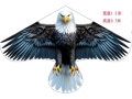 Eagle shaped Kite - 115*65Cms  (ECG551)