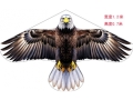 Eagle shaped Kite - 115*65Cms  (ECG551)