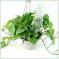 Irrigation houseplants 4 pcs TV