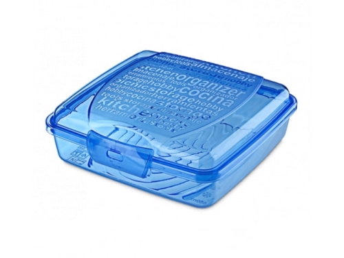 Titiz 550ml food container AP-9267