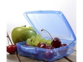 Titiz 550ml food container AP-9267