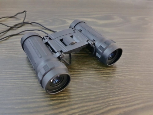 Folded pocket binoculars with a 10x25 case SM-631