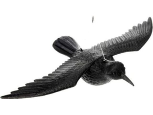 Garden Statues - Flying Raven (EGA317P)