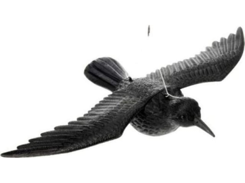Garden Statues - Flying Raven (EGA317P)