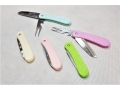 Fruit Knife    (MB-14356-2)
