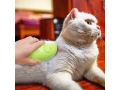 Cat Steam Brush  (EPT135P)