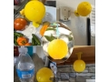 Glue Ball for Insects (EHO521)