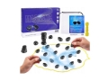 Magnetic Chess - Intelligence Strategy Game  (ECG610)