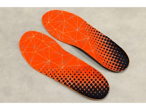 Insole for Sports Shoe  (EHO1887)