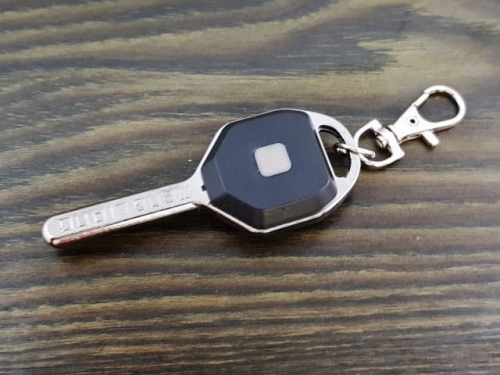 Key ring COB Led