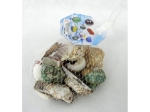 Seashells and ornamental pebbles  MJ2484