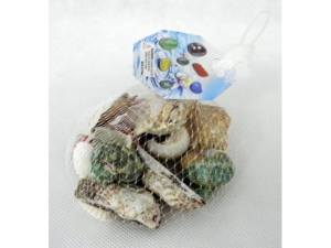 Seashells and ornamental pebbles  MJ2484